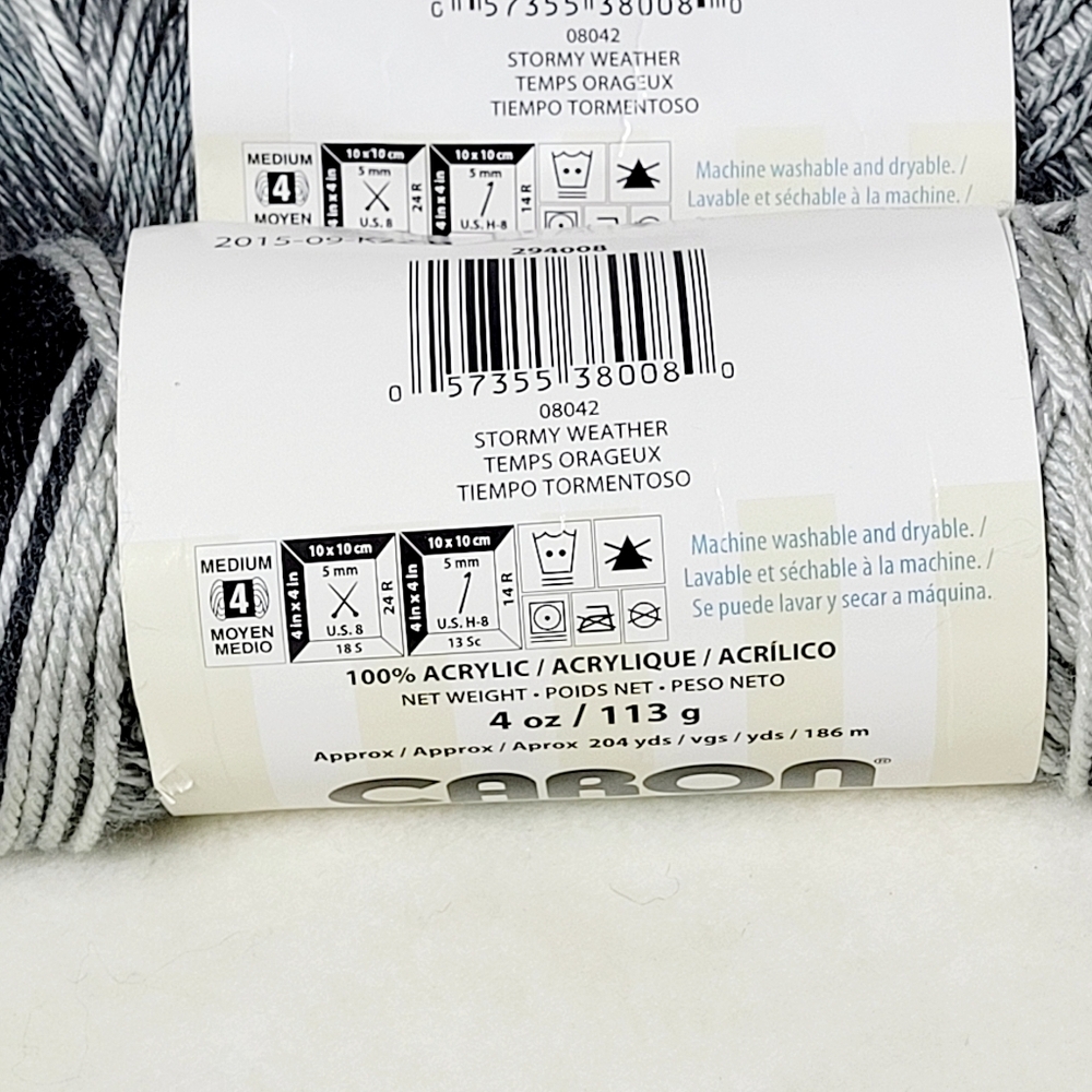 Carol Simply Soft Yarn Stormy Weather Ombre 2 Skeins - Picture 4 of 4